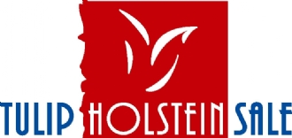 TULIP HOLSTEIN SALE UPDATES ONLINE