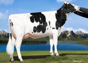 Welcome Earn Phillie RC PP 2y VG-85