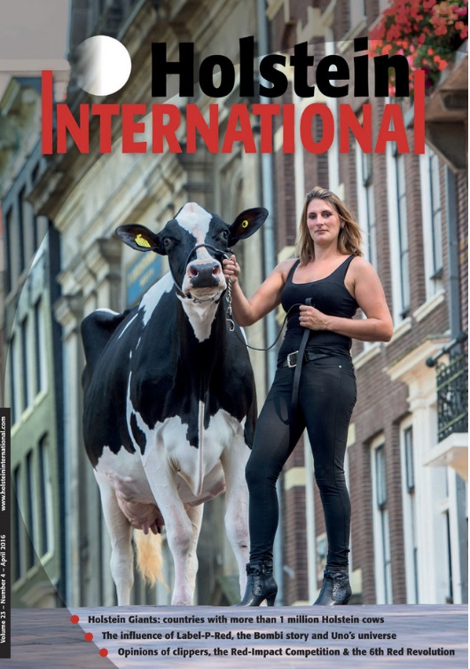 COVER HOLSTEIN INTERNATIONAL