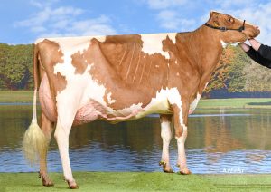A-L-H Ladd Alina P Red 2y VG-85