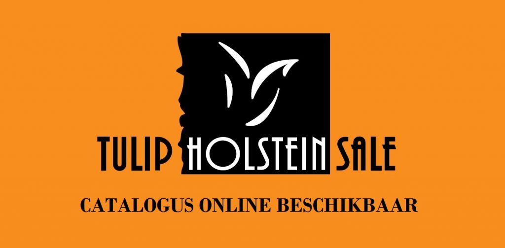 Tulip Holstein Sale 2018 catalogus online