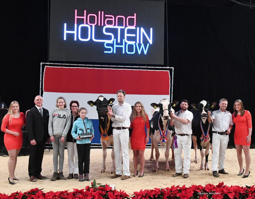 Prachtige Holland Holstein Show 2018