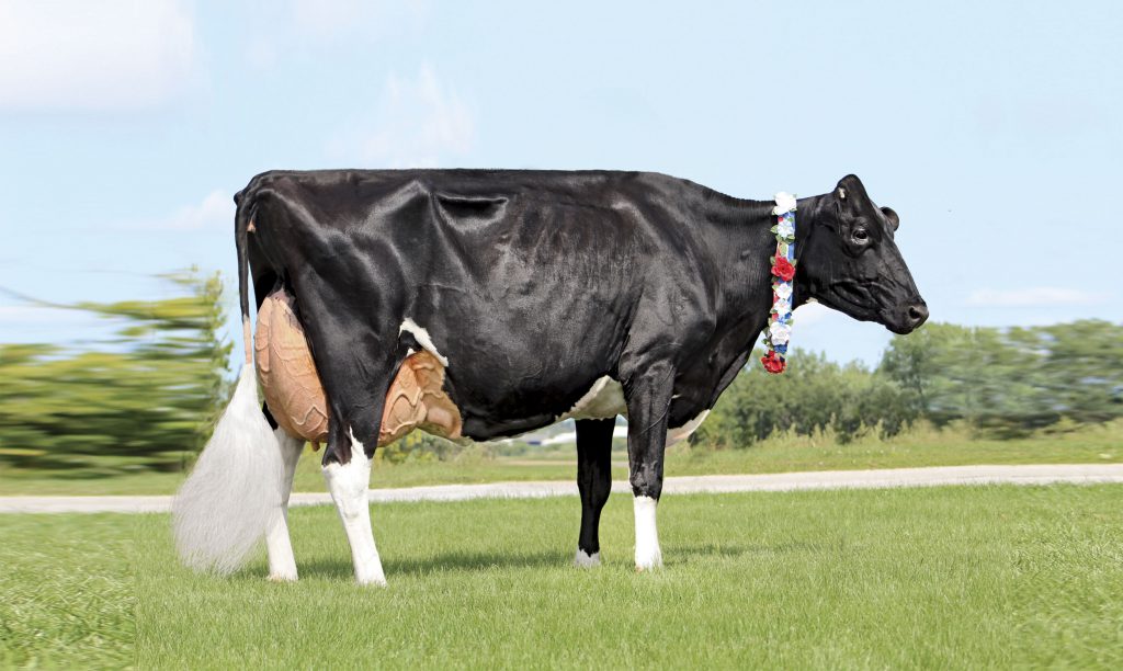 Sterling Silver is 2019 Star of the Breed