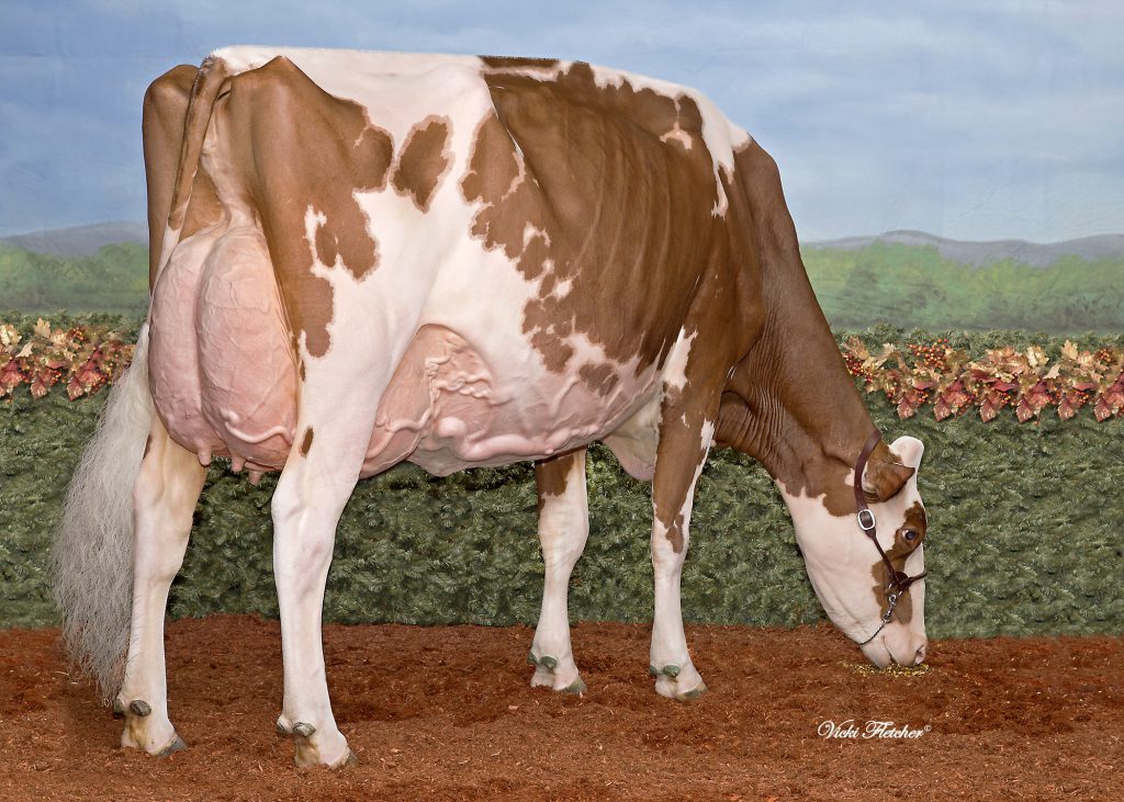 Apple daughter: Miss Apple Snapple Red EX-96!