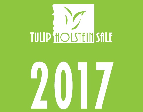 Tulip Sale catalogus online