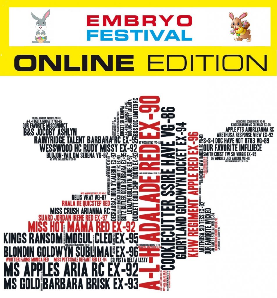 Embryo Festival: Easter Egg Online Edition