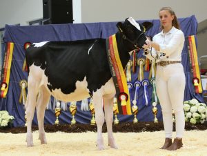National Grand Champion 2022 of Germany
