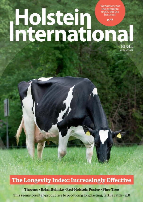 Giessen Brittney 11 cover Holstein International