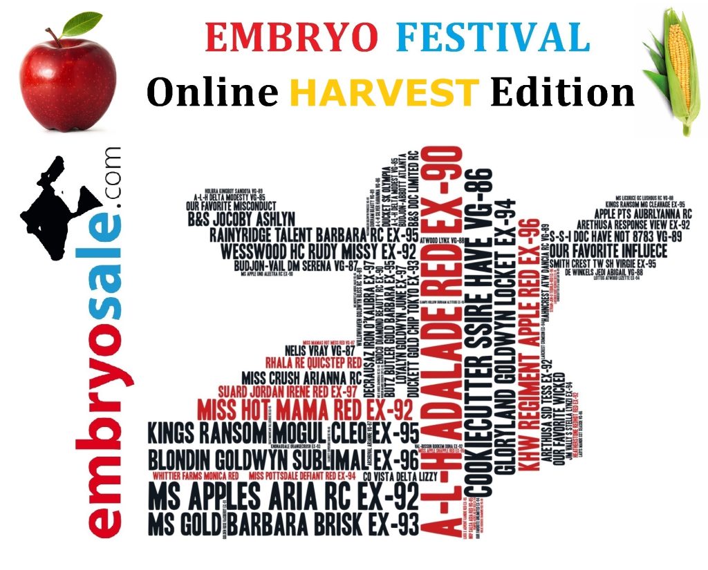 Embryo Festival: HARVEST Edition