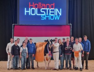 Grand Champion Holland Holstein Show 2023