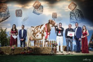 Champion Red Nuit de la Holstein 2023 delivered via ALH!
